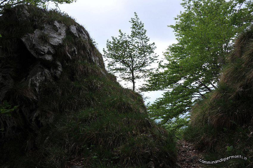 099 Periplo del Grem.JPG